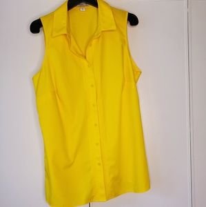 Coldwater Creek No Iron Sleeveless Blouse